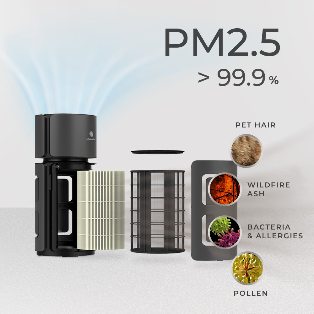 best rated air purifier for pets-PetsAirPurifier-KnightPlus/Mini