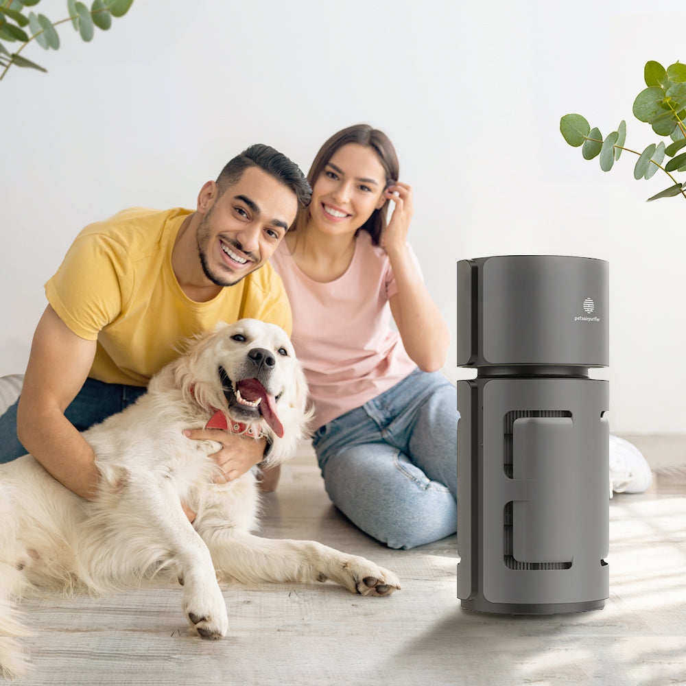 top rated air purifiers for pets-PetsAirPurifier-KnightPlus/Mini