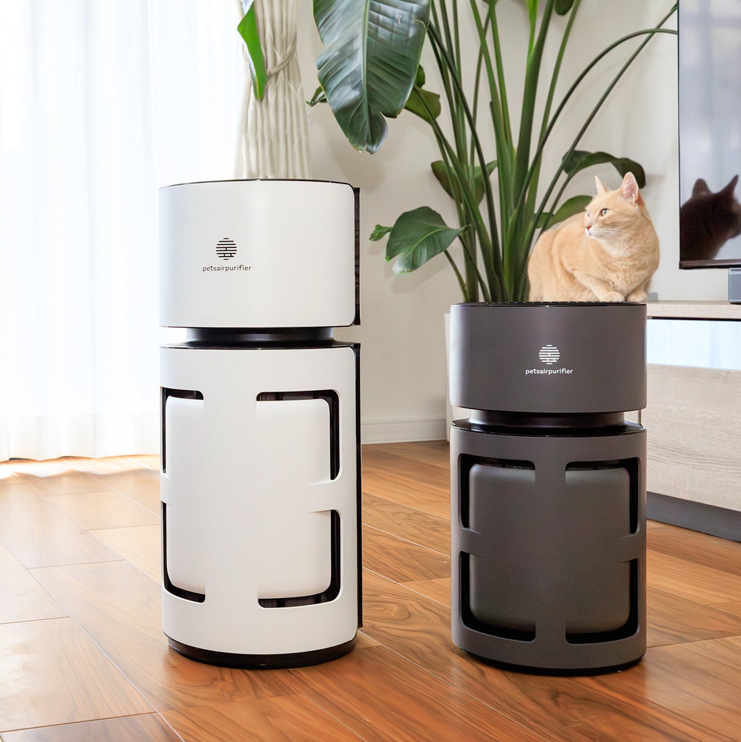 good air purifier for pets-PetsAirPurifier-KnightPlus/Mini