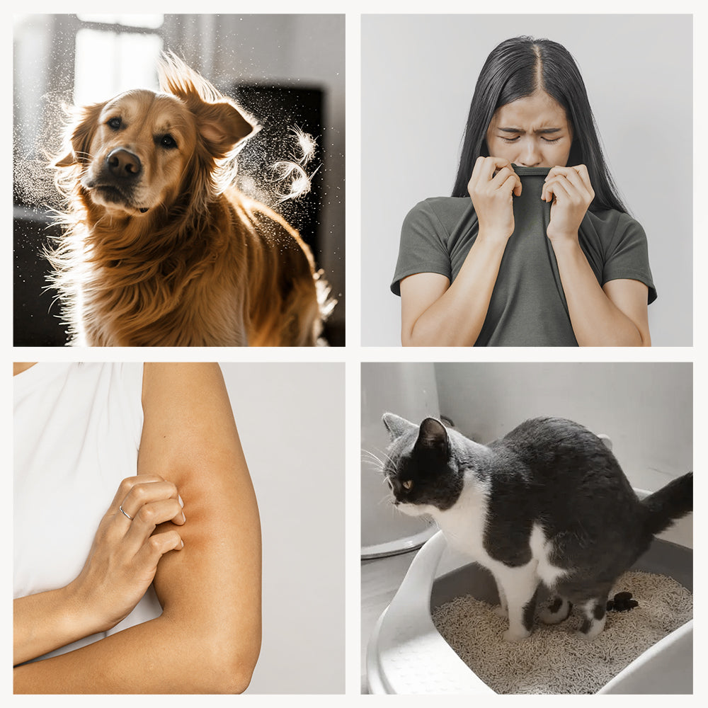 air purifier for pet hair-PetsAirPurifier-KnightPlus/Mini