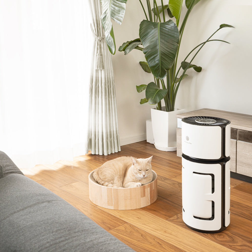 top rated air purifiers for pets-PetsAirPurifier-KnightPlus/Mini