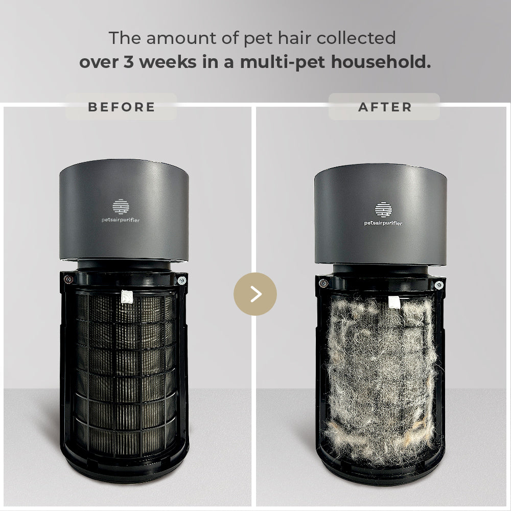 best rated air purifier for pets-PetsAirPurifier-KnightPlus/Mini