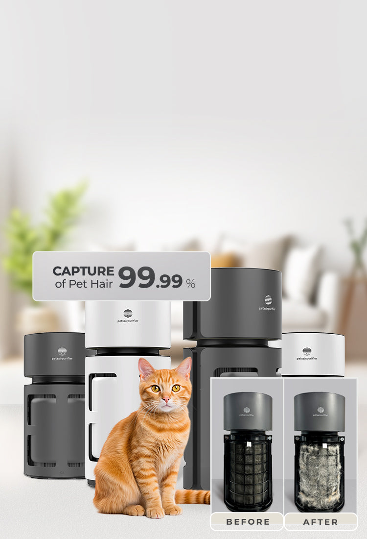 best air purifier for pets-PetsAirPurifier-FurKnight Plus/Mini