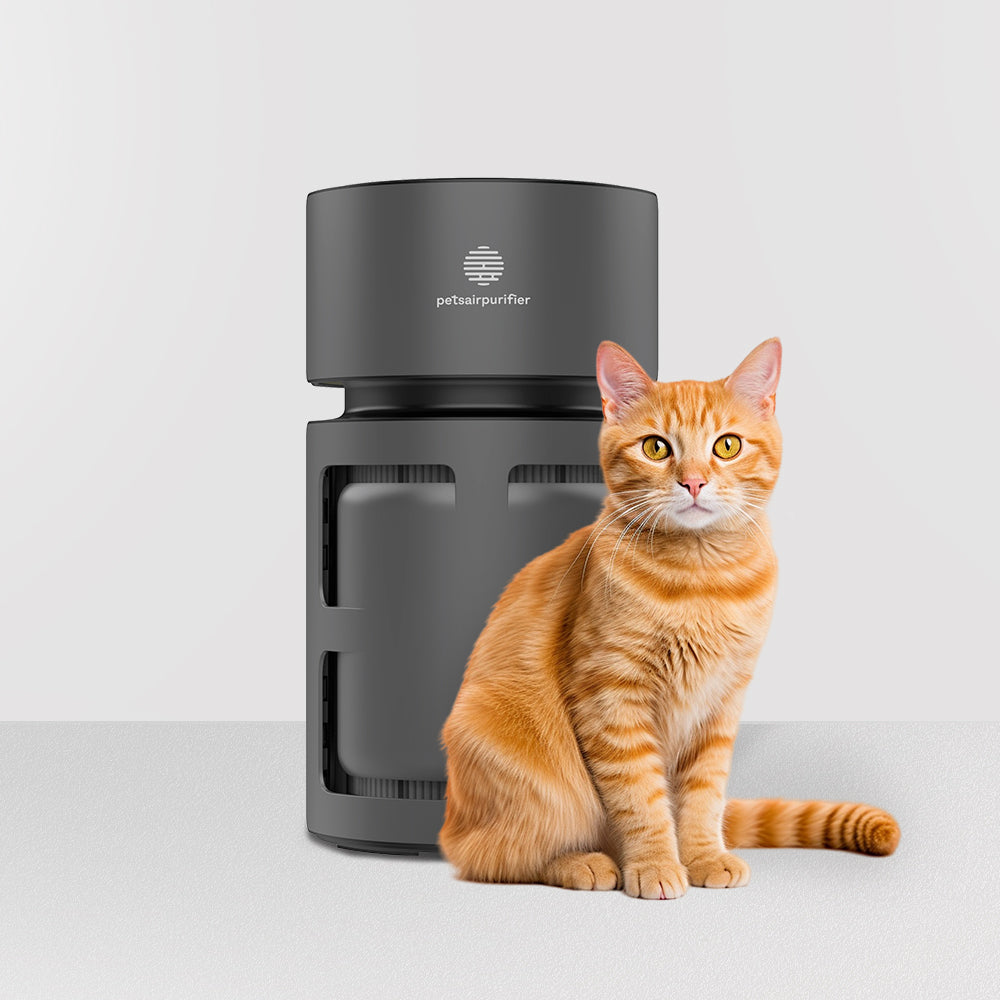 best air purifier for pets-PetsAirPurifier-KnightPlus/Mini