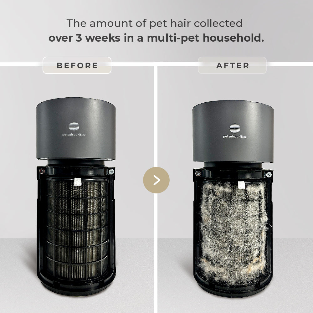 air purifier for animal hair-PetsAirPurifier-KnightPlus/Mini