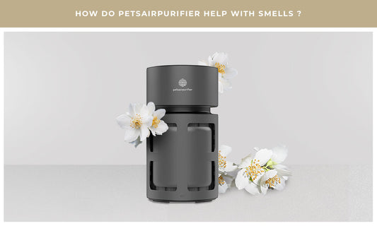 How Do Pets Air Purifiers Help with Smells?