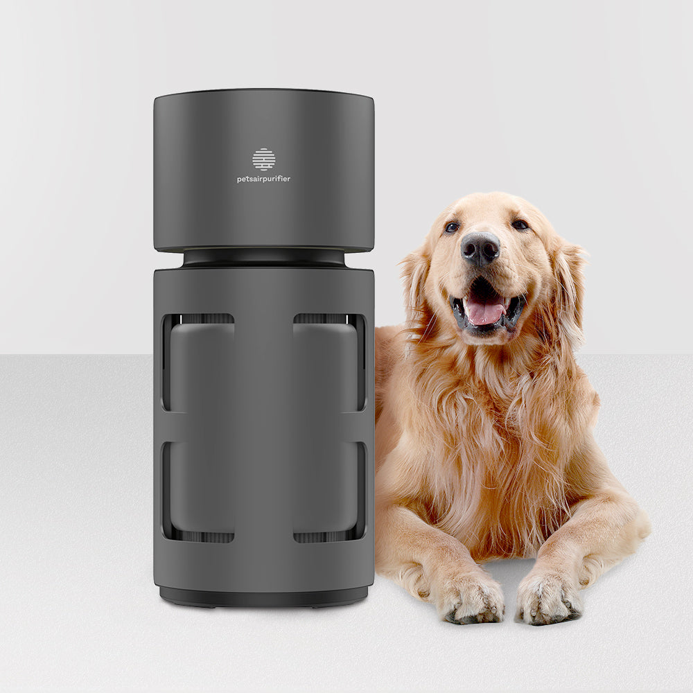 PetsAirPurifier-KnightPlus/Mini