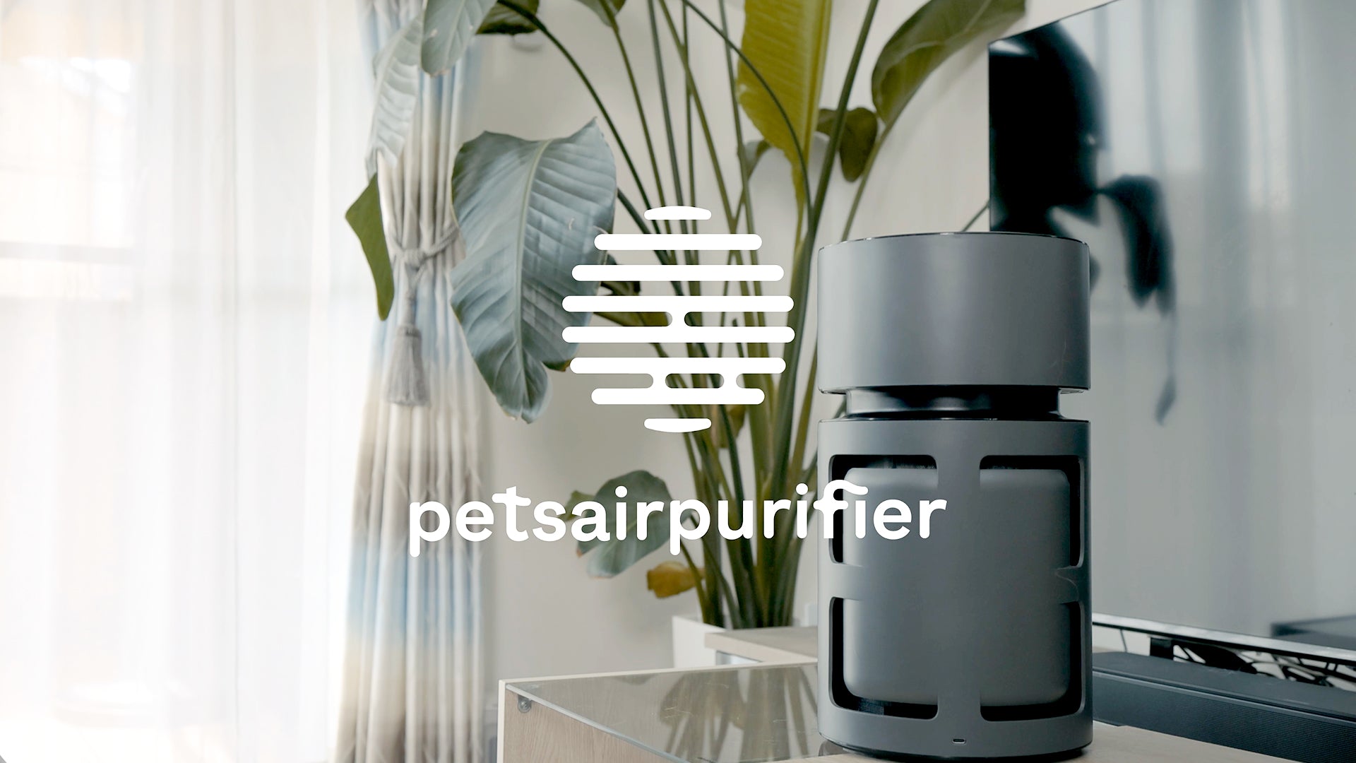 Load video: Pet-focused Air Purifier